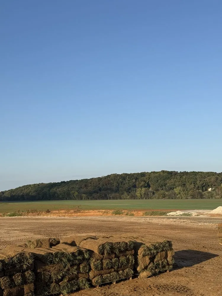 Expert yard cleanup service experts serving Dalton, GA - Eco Site Solutions