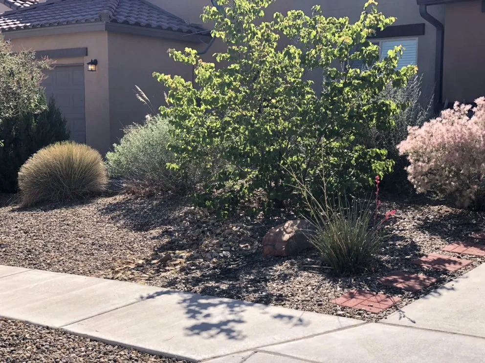 Expert landscape design for beautiful yards across Albuquerque, NM - Eco Star Landscaping