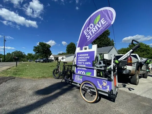 Eco Strive