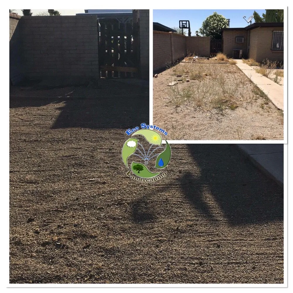 Trusted residential landscaping near you in Tucson, AZ by Eco Systems Landscaping