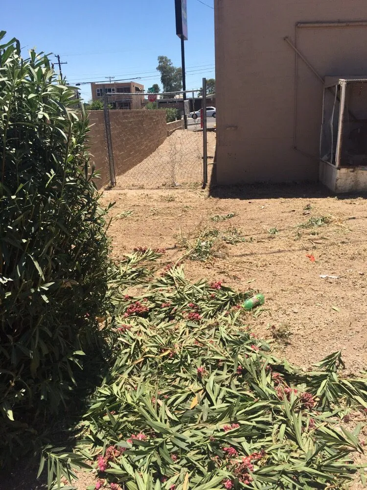 Local landscape installation experts serving Tucson, AZ - Eco Systems Landscaping