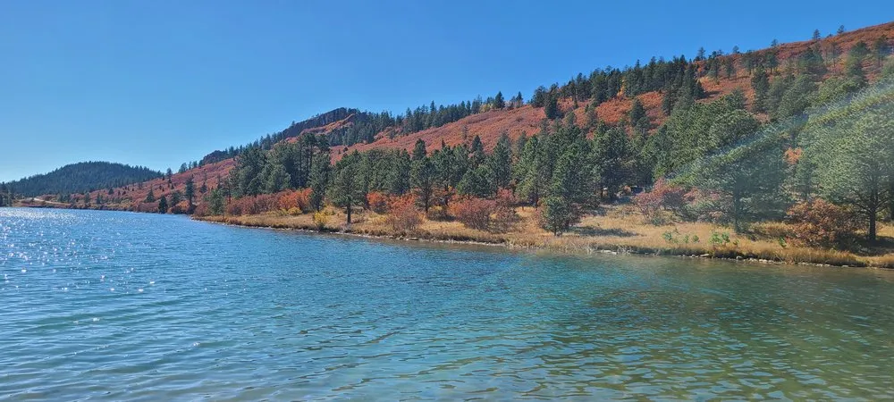 Local yard maintenance experts serving Colorado Springs, CO - Eco-Terra Gardens