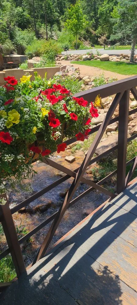 Local yard maintenance for outdoor upgrades in Colorado Springs, CO by Eco-Terra Gardens