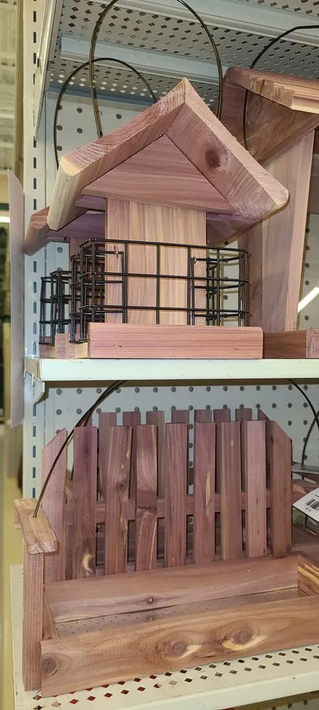 Professional yard cleanup service experts serving Colorado Springs, CO - Eco-Terra Gardens