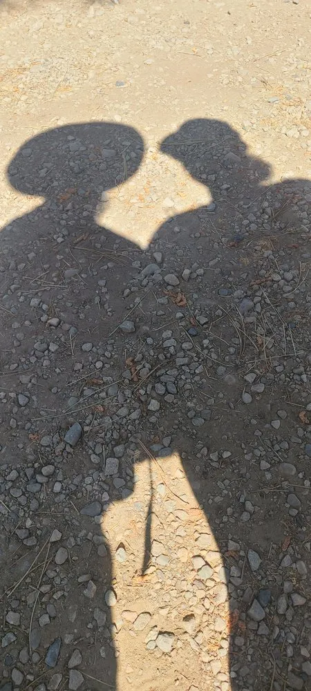 Reliable garden landscaping near you across Colorado Springs, CO - Eco-Terra Gardens