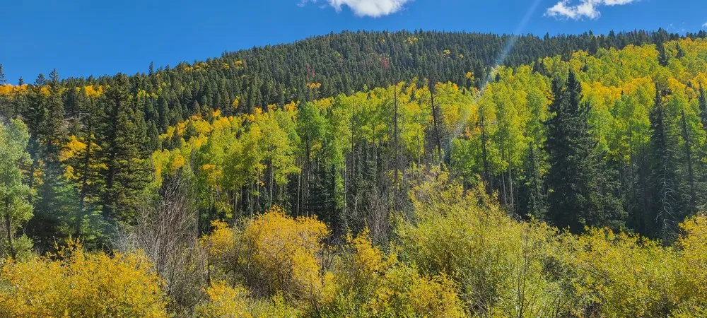 Trusted lawn care service experts serving Colorado Springs, CO - Eco-Terra Gardens