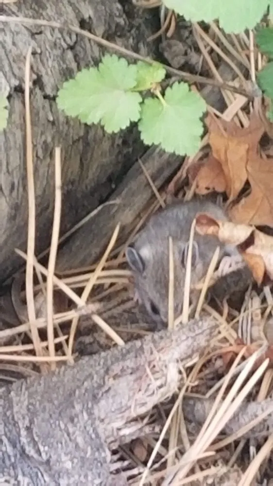 Reliable outdoor landscaping in Colorado Springs, CO - Eco-Terra Gardens