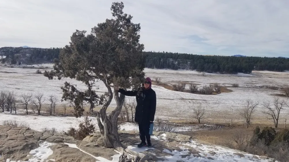 Reliable landscape design experts serving Colorado Springs, CO - Eco-Terra Gardens