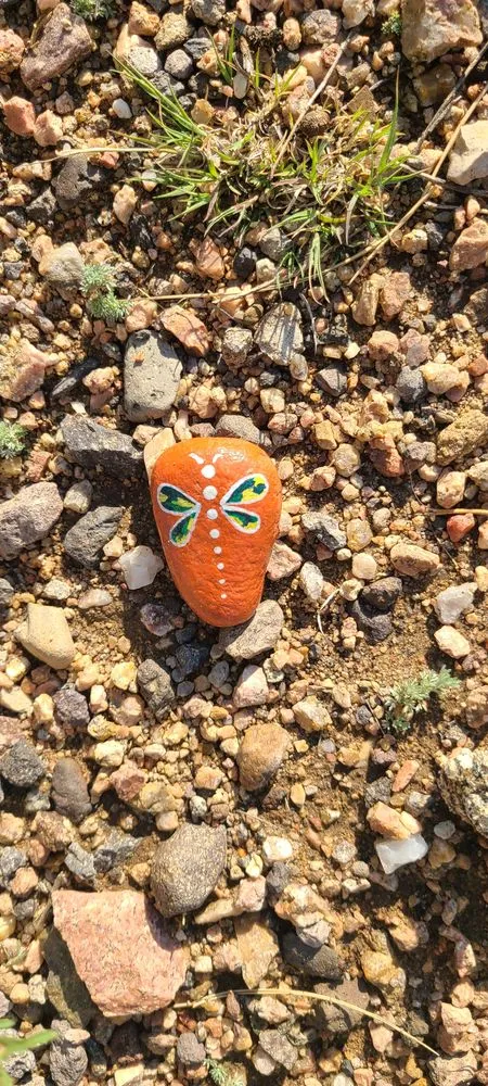 Custom lawn mowing service in Colorado Springs, CO - Eco-Terra Gardens