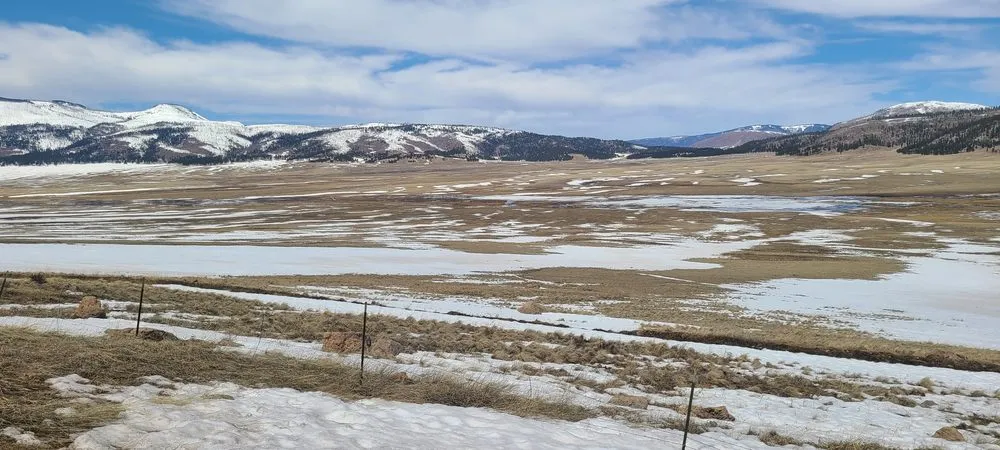 Custom landscaping services for beautiful yards in Colorado Springs, CO by Eco-Terra Gardens