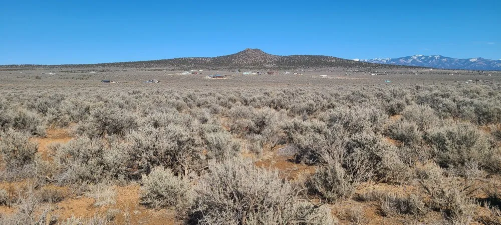 Expert lawn care service experts serving Colorado Springs, CO - Eco-Terra Gardens