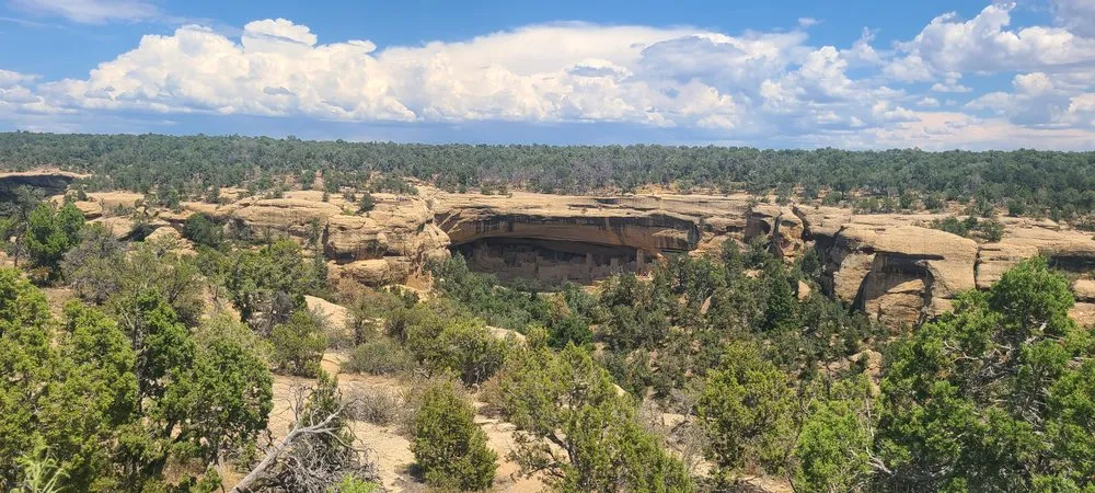 Local garden landscaping for homes in Colorado Springs, CO by Eco-Terra Gardens