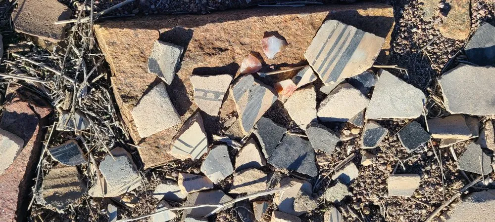 Professional landscape installation for year-round maintenance in Colorado Springs, CO by Eco-Terra Gardens