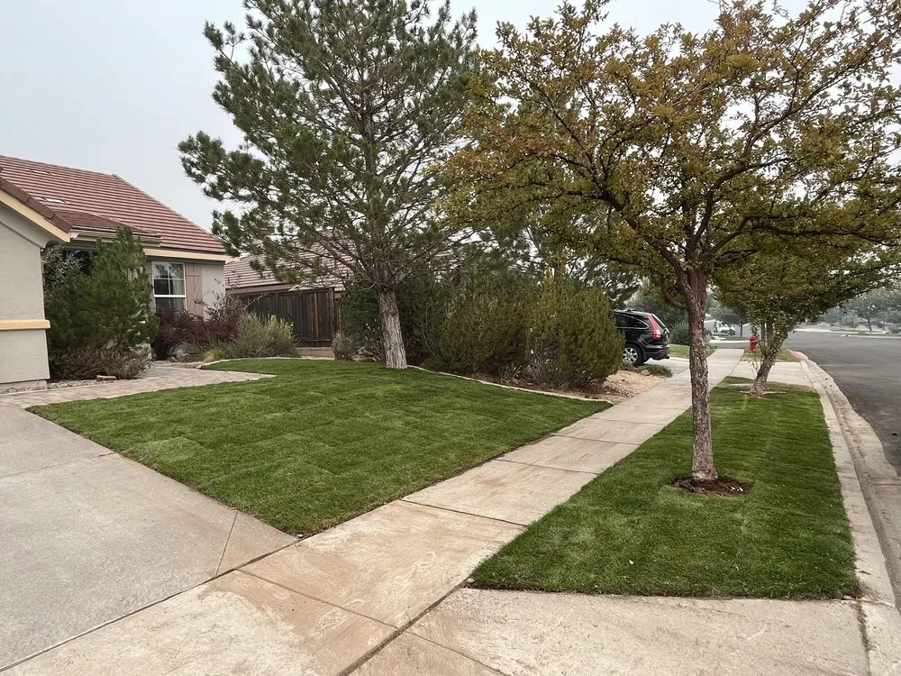 Custom lawn mowing service for residential properties across Reno, NV - Eco Tigers Landscape