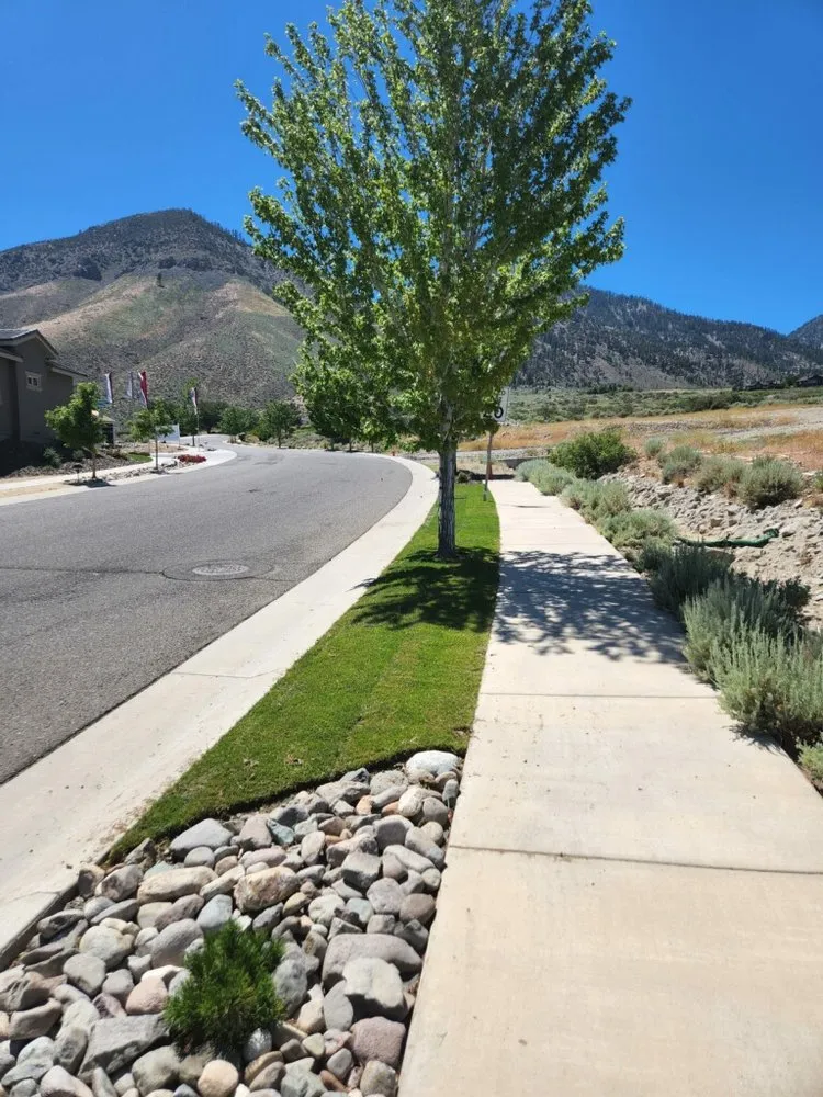 Affordable landscaping services for residential properties in Reno, NV by Eco Tigers Landscape