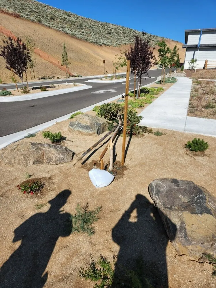 Reliable yard maintenance in Reno, NV by Eco Tigers Landscape