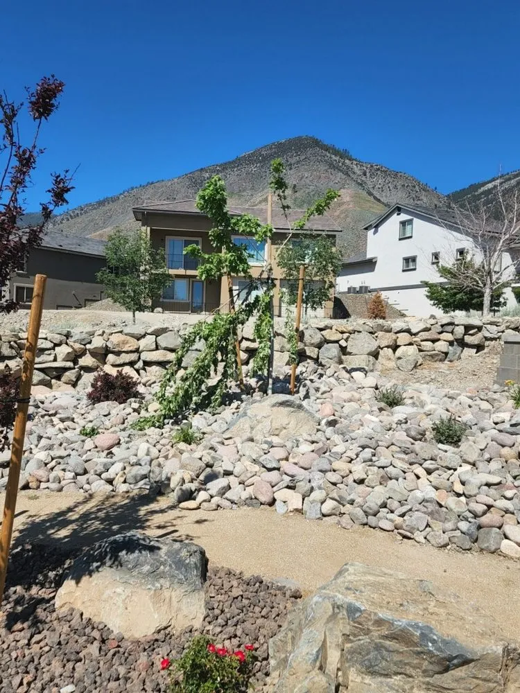 Top-rated yard cleanup service in Reno, NV - Eco Tigers Landscape