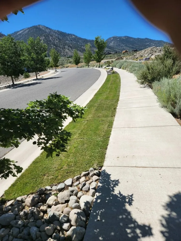 Professional garden landscaping in Reno, NV by Eco Tigers Landscape