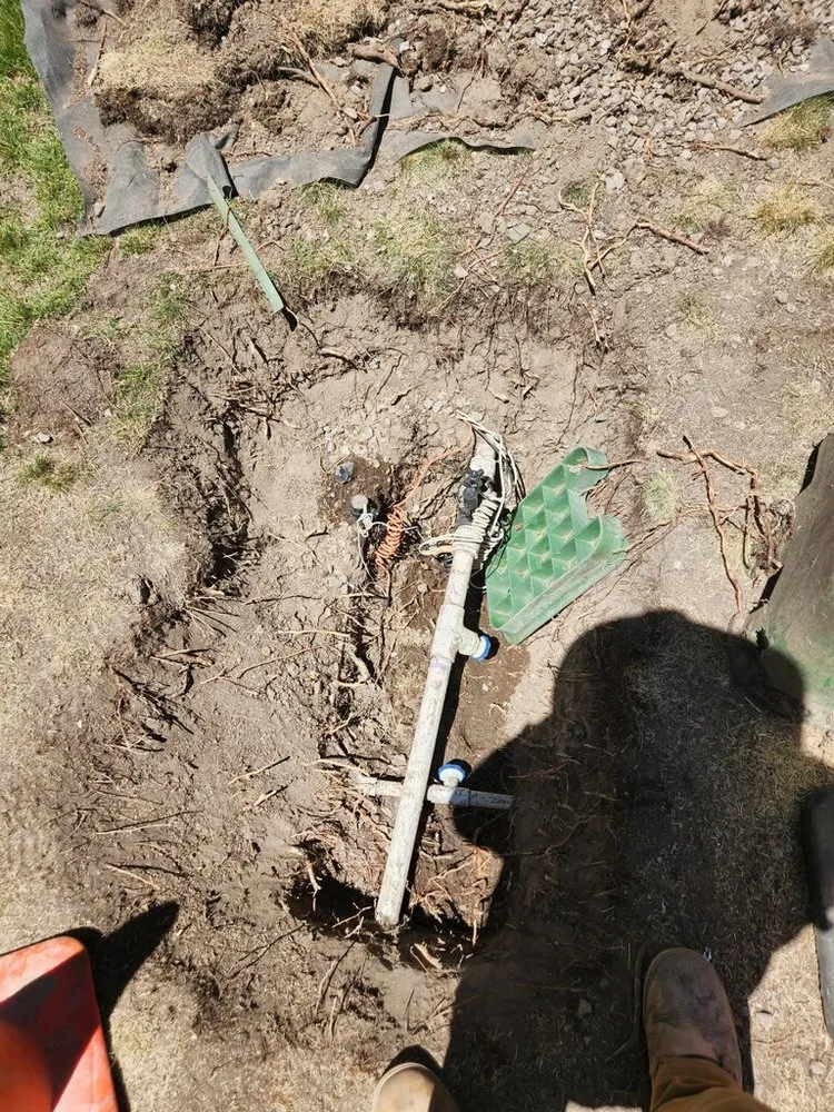 Reliable yard maintenance in Reno, NV by Eco Tigers Landscape