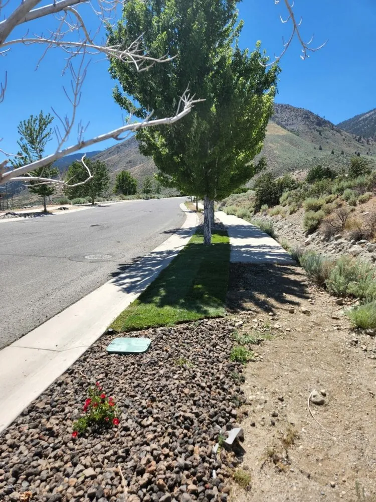 Affordable residential landscaping in Reno, NV - Eco Tigers Landscape