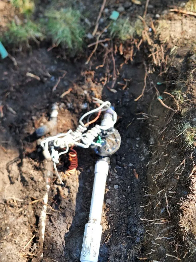 Local landscape installation in Reno, NV by Eco Tigers Landscape