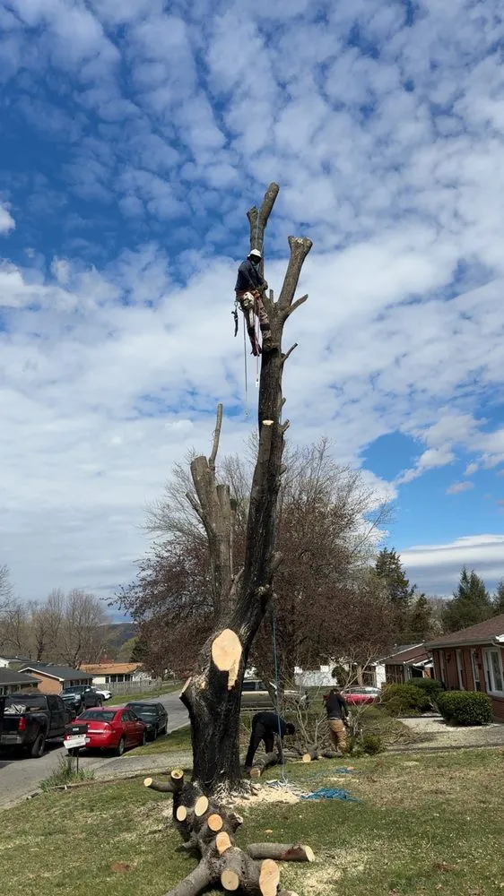 Local garden landscaping in Roanoke, VA - Eco Tree Lawn an Property Management