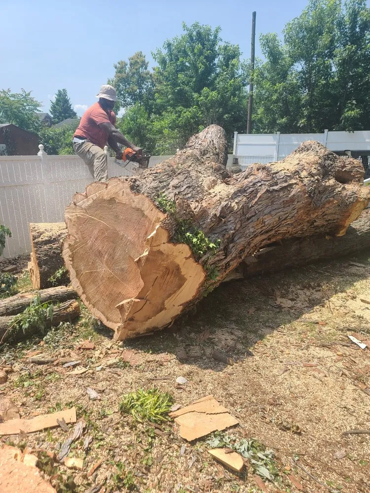 Top-rated landscape design with custom design across Roanoke, VA - Eco Tree Lawn an Property Management