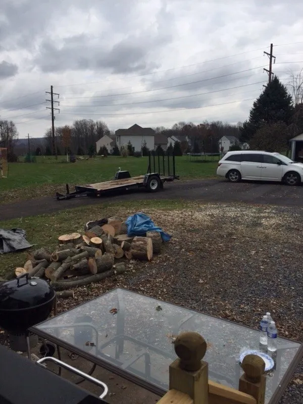 Affordable outdoor landscaping for year-round maintenance in Bethlehem, PA by ECO Tree service