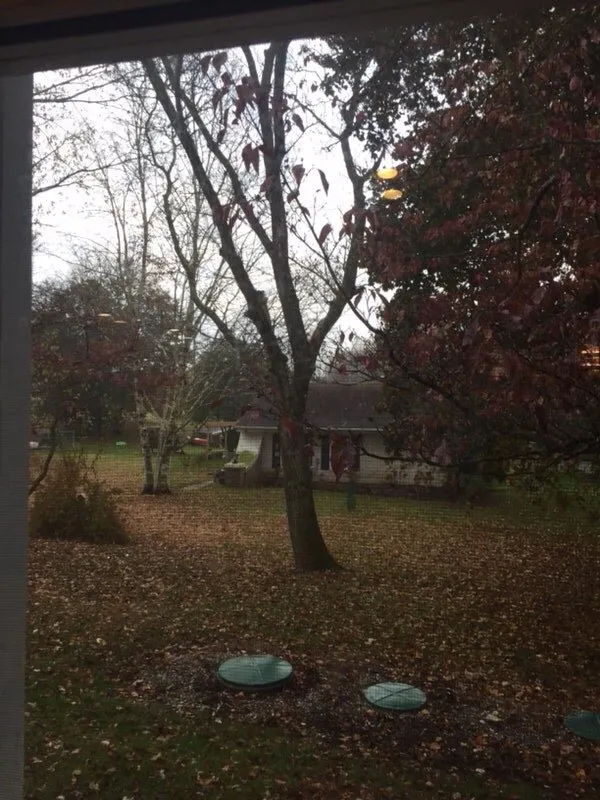 Custom garden landscaping for beautiful yards across Bethlehem, PA - ECO Tree service