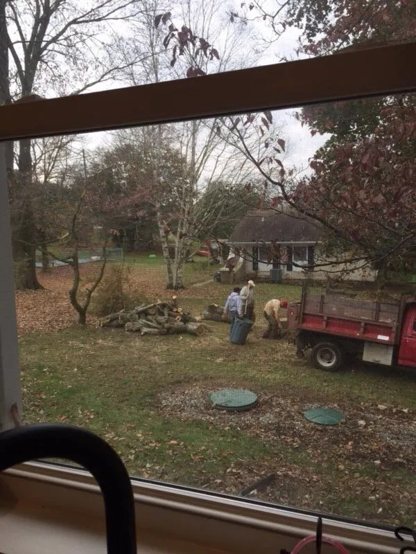 Reliable garden landscaping in Bethlehem, PA - ECO Tree service