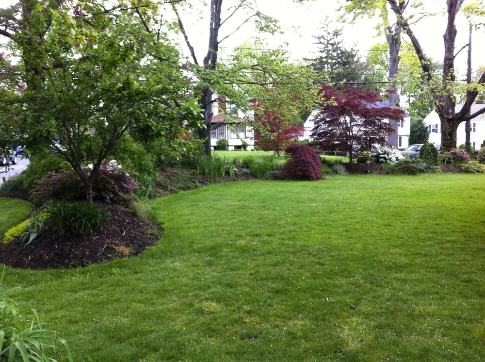 Top-rated yard cleanup service in West Hartford, CT by Eco Turf Landscaping