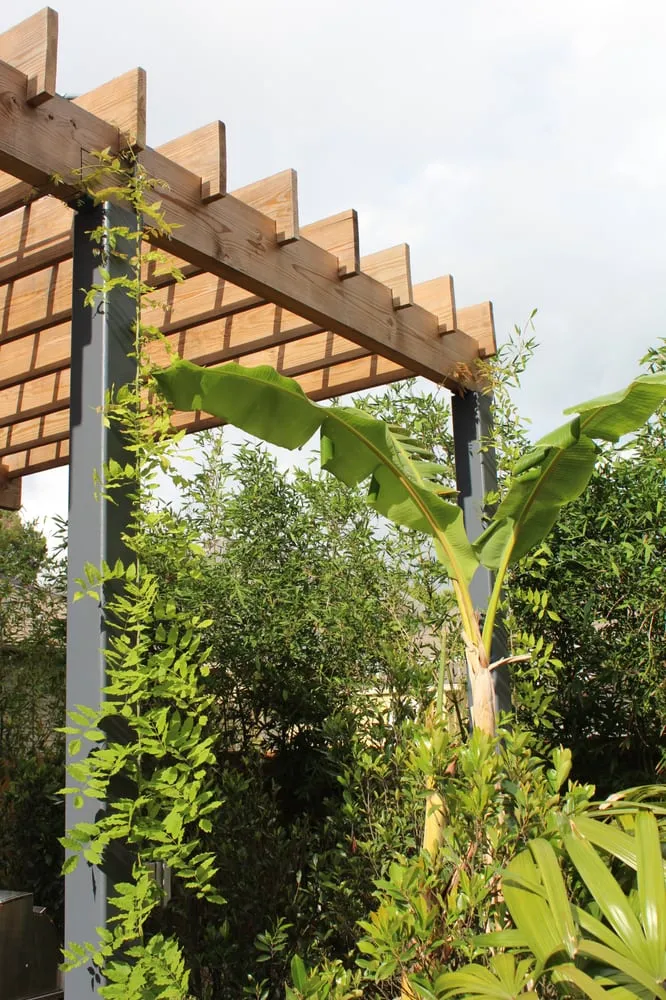 Professional yard maintenance experts serving New Orleans, LA - Eco Urban Landscaping