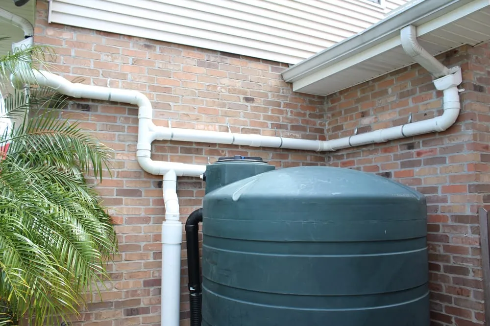 Local garden landscaping in New Orleans, LA - Eco Urban Landscaping