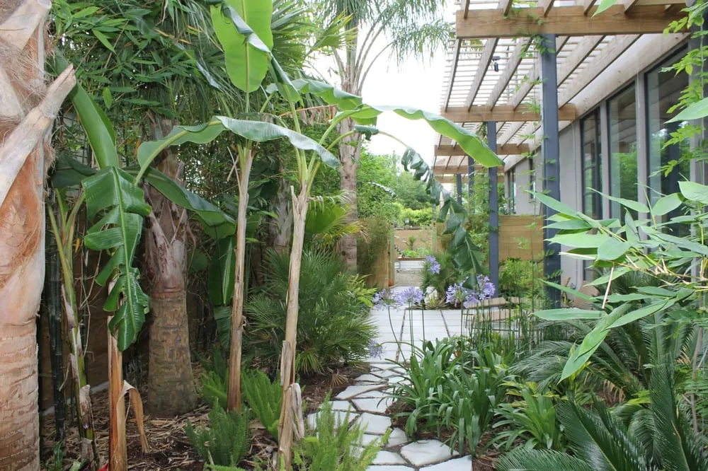 Reliable landscape design in New Orleans, LA by Eco Urban Landscaping