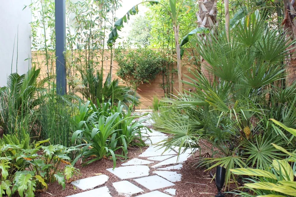 Affordable landscaping services for year-round maintenance across New Orleans, LA - Eco Urban Landscaping