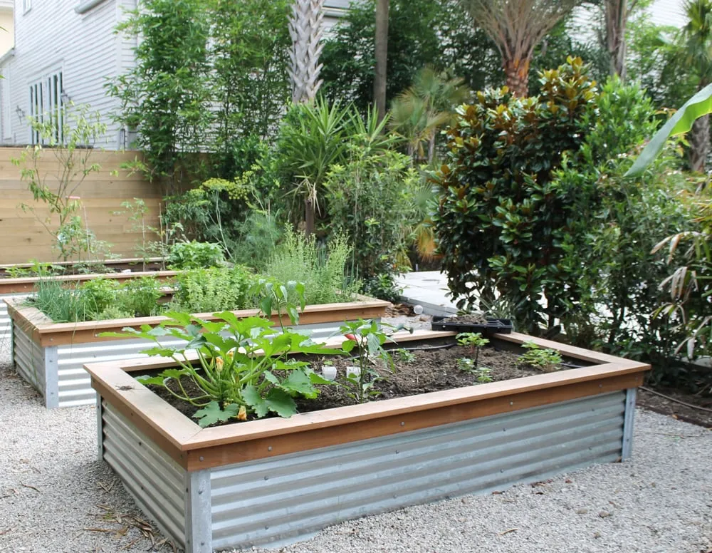 Affordable garden landscaping for year-round maintenance in New Orleans, LA by Eco Urban Landscaping