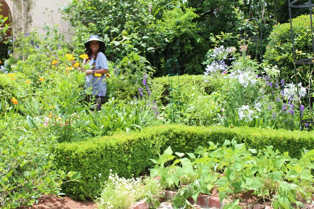 Professional garden landscaping with custom design across New Orleans, LA - Eco Urban Landscaping