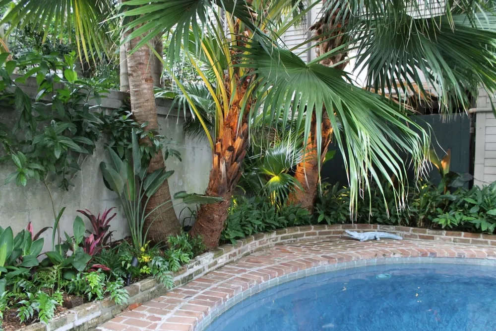 Local landscape installation in New Orleans, LA - Eco Urban Landscaping