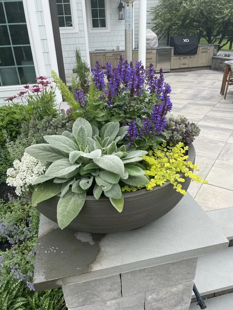 Affordable landscape installation in Wyncote, PA by Eco Works