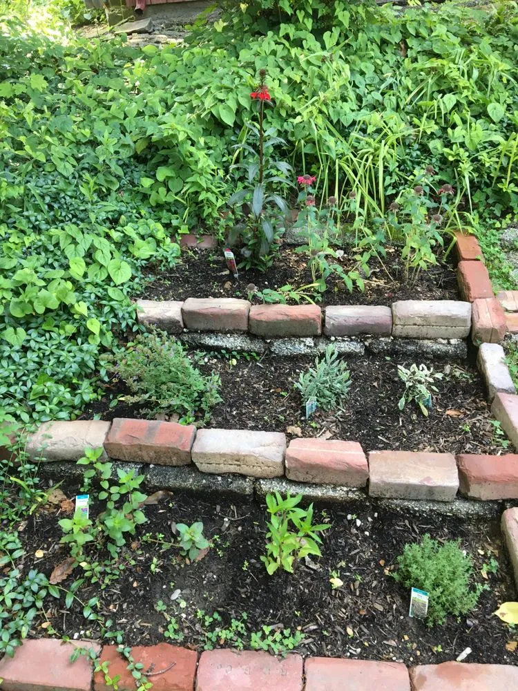 Expert landscaping services experts serving Wyncote, PA - Eco Works