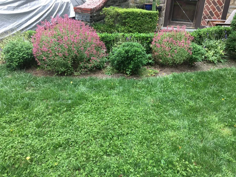 Local landscape installation for beautiful yards in Wyncote, PA by Eco Works