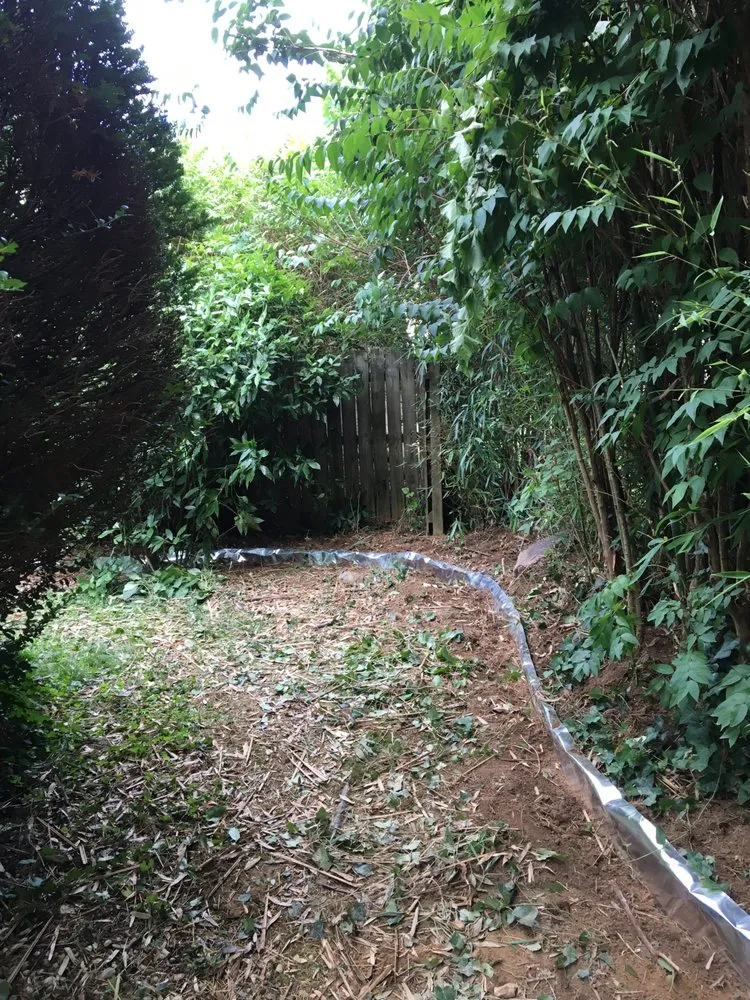 Affordable landscaping services in Wyncote, PA by Eco Works