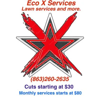 Eco X Services Logo