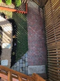 Reliable lawn care service experts serving Springfield, VA - Ecoart Studios