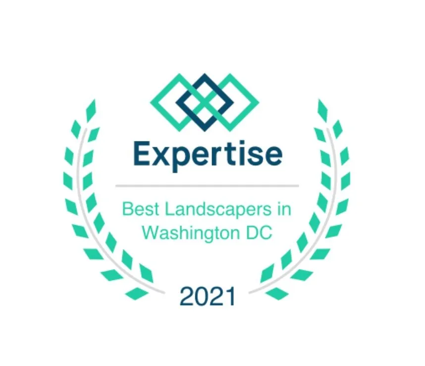 Local yard cleanup service experts serving Springfield, VA - Ecoart Studios