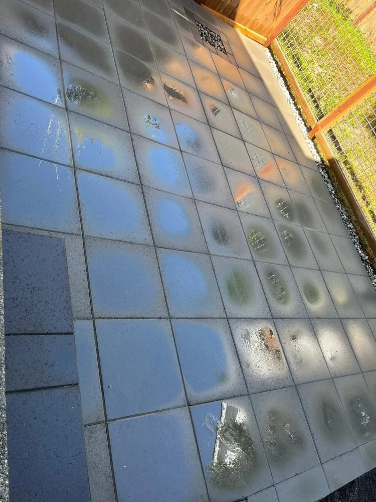 Custom lawn care service in Kirkland, WA by EcoBliss Home