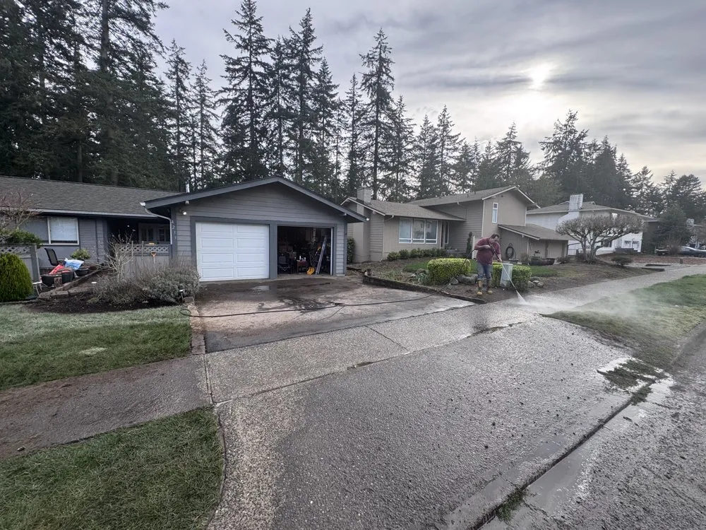 Reliable yard cleanup service in Kirkland, WA by EcoBliss Home