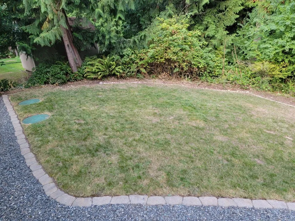 Custom outdoor landscaping experts serving Kirkland, WA - EcoBliss Home