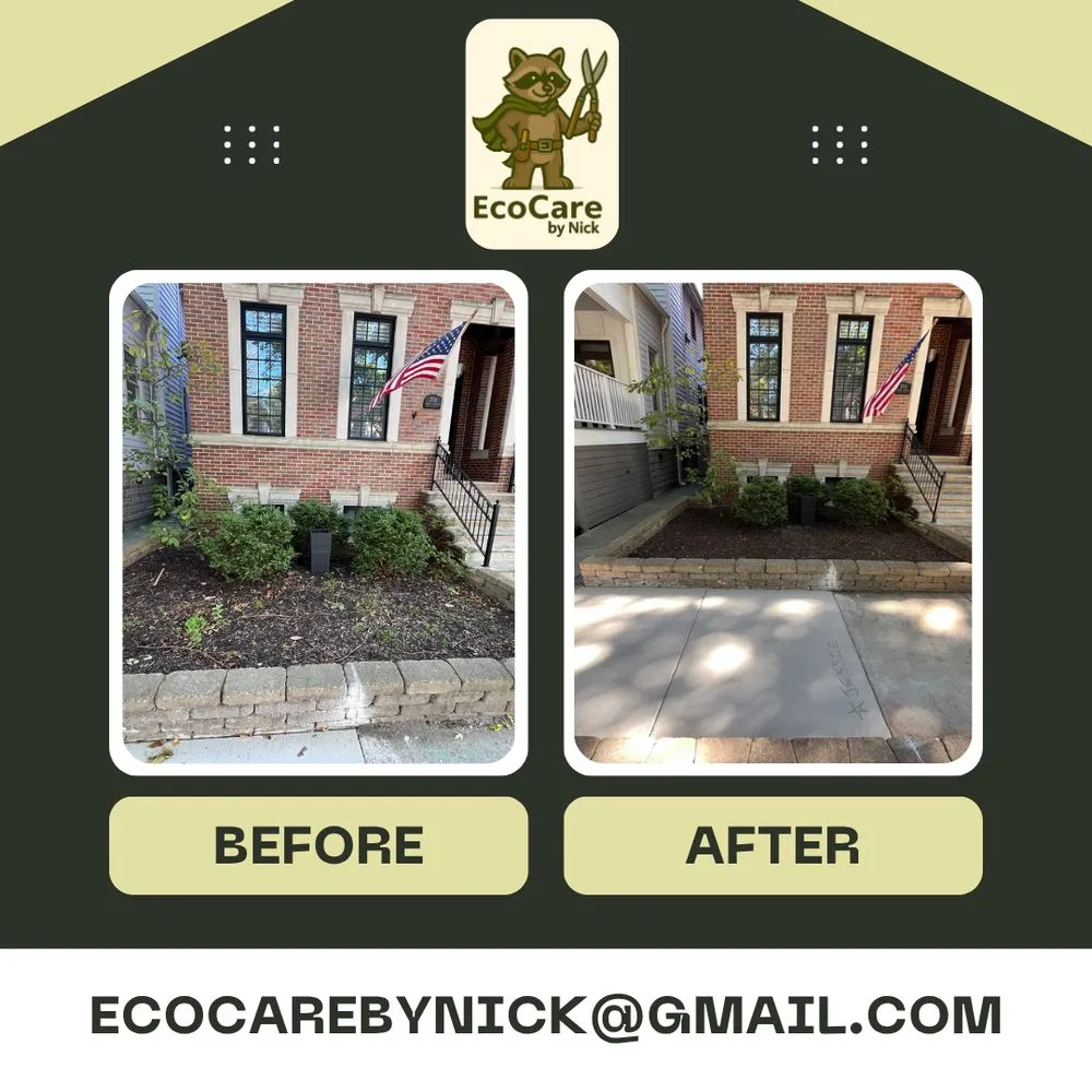 Reliable yard cleanup service for homes across River Grove, IL - EcoCare by Nick