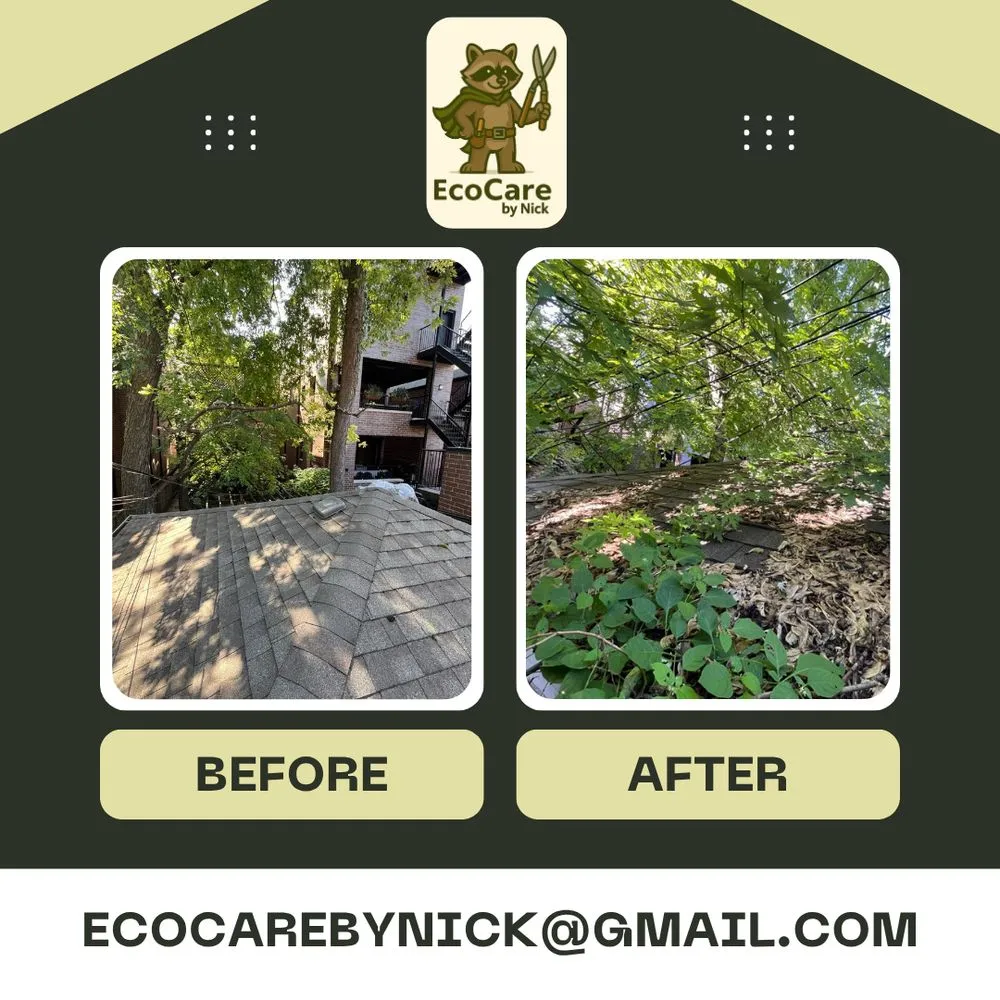 Reliable yard cleanup service for homes across River Grove, IL - EcoCare by Nick